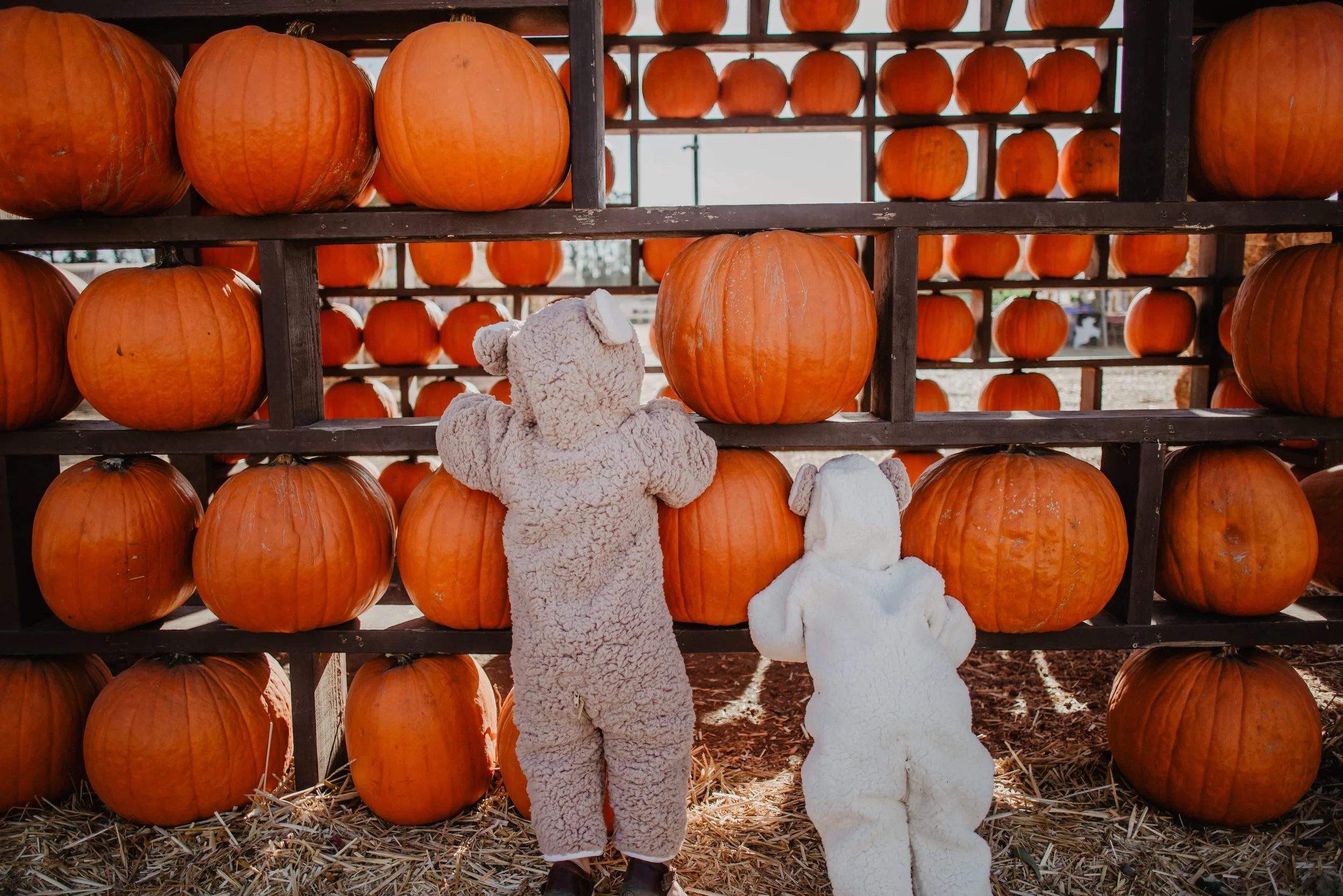 Infant bear halloween costume 2025